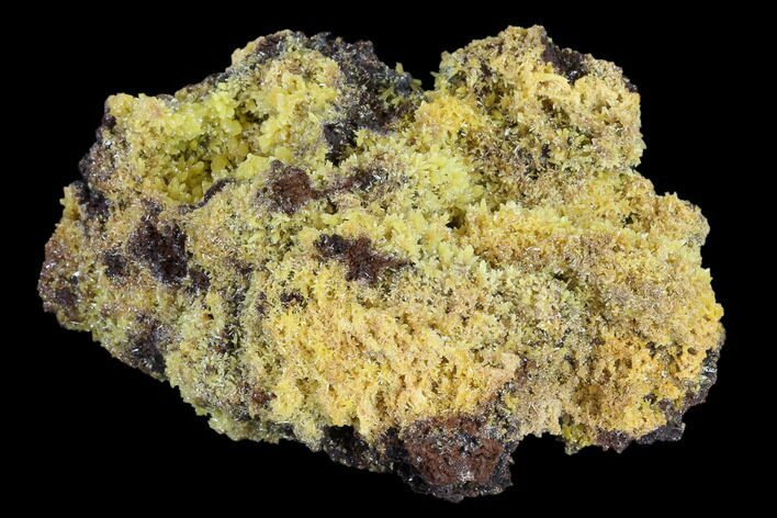 Mimetite Crystal Clusters on Limonitic Matrix - Mexico #119121